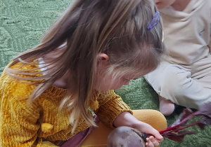 Dziewczynka ogląda buraka