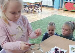 Dziewczynka wkłada plaster buraka do słoika