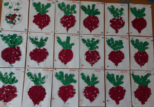 Prace plastyczne przedstawiające buraczki