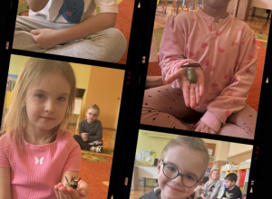 Dzień Motyla i Żaby w drugiej grupie