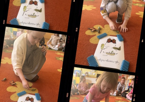 Dzieci poznają cykl życia motyla