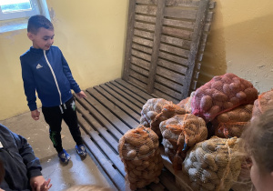 Chłopiec patrzy na warzywa.