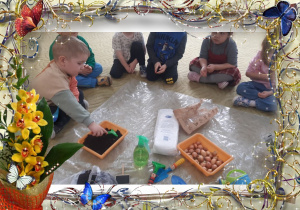 Dzieci sadzą cebulki