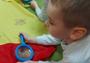 Chłopiec obserwuje liść przez lupę