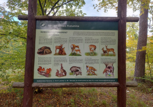 Tablica o zwierzętach leśnych