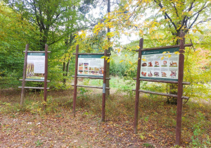 Tablice o zwierzętach leśnych