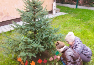 Dziecko wbija patyk z kolorowym liściem przy zasadzonym świerku