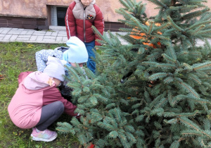 Dziecko wbija patyk z kolorowym liściem przy zasadzonym świerku