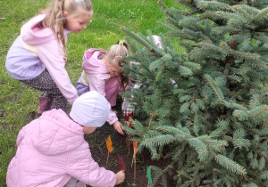 Dziecko wbija patyk z kolorowym liściem przy zasadzonym świerku