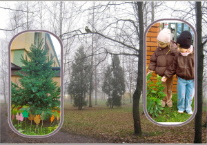 Zdjęcie zasadzonych drzewek w ogrodzie