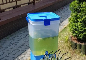 Lemoniada z mięta i cytryną