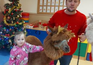 Dziewczynka pozuje do zdjęcia z alpaką