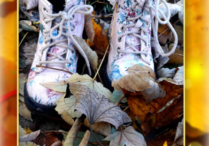 Zdjęcie butów na jesiennych liściach